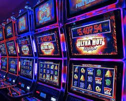 maxbet
